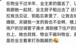娱乐吃瓜群文案搞笑图片,搞笑图片背后的娱乐盛宴