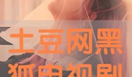 黑狐在线观看土豆网,土豆网独家上线，揭秘特工风云