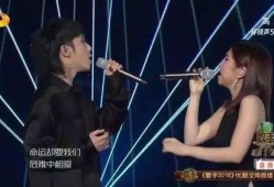 华晨宇邓紫棋的最新爆料,揭秘音乐背后的故事与情感纠葛