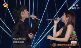 华晨宇邓紫棋的最新爆料,揭秘音乐背后的故事与情感纠葛