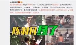 陈晓亮天涯爆料视频播放,揭秘事件背后真相