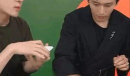 娱乐圈爆料语气有哪些,揭秘明星背后的秘密与真相